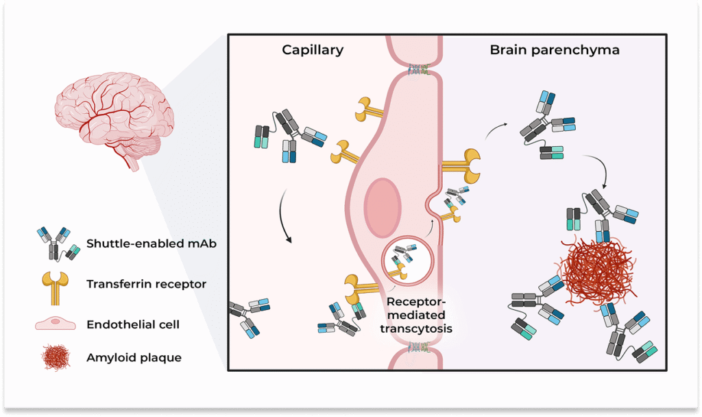 Platform illustration